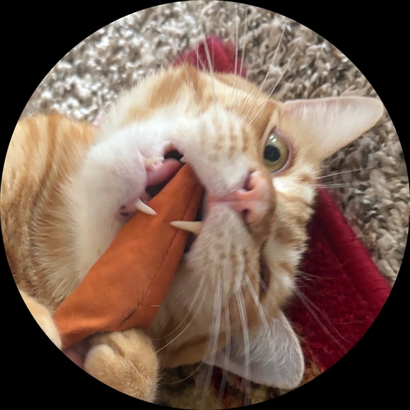dirtmunncher